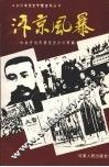 汴京风暴 封面
