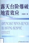 露天台阶作业爆破地震效应 封面