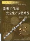 采掘工作面安全生产支持系统 封面