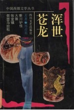 浑世苍龙 封面