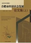 合肥市经济社会发展论文集  上 封面