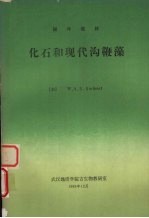 化石和现代沟鞭藻 封面