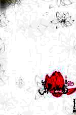 莲花之吻 封面