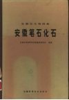 安徽笔石化石 封面