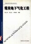 煤炭地下气化工程 封面