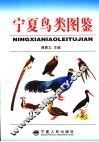 宁夏鸟类图鉴 封面