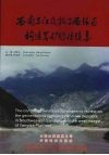 西南三江及扬子西缘区构造岩矿综论续集 封面