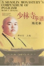 少林寺拳谱  梅花拳 封面