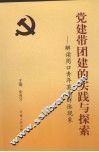 党建带团建的实践与探索  解读周口青年英模群体现象 封面