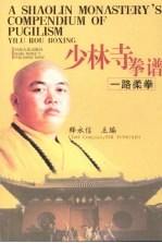 少林寺拳谱  一路柔拳 封面