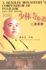 少林寺拳谱  二路柔拳 封面