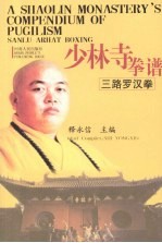 少林寺拳谱  三路罗汉拳 封面