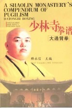 少林寺拳谱  大通臂拳 封面