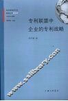 专利联盟中企业的专利战略 电子书封面