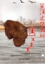 邕江文化大观 封面