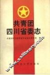 共青团四川省委志 封面
