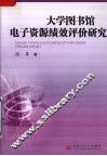 大学图书馆电子资源绩效评价研究 封面