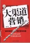 大渠道营销 封面