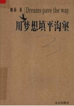 用梦想填平沟壑 封面