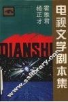 杨正才霍雅君电视文学剧本集 封面