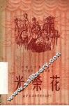 光荣花 封面