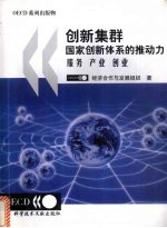 创新集群  国家创新体系的推动力  服务  产业  创业 封面