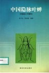 中国隐脉叶蝉  同翅目：叶蝉科 封面