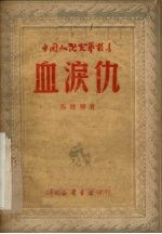 血泪仇 封面