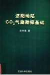 济阳坳陷CO2气藏勘探基础 封面