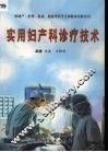 实用妇产科诊疗技术 封面