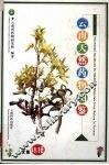 云南天然药物图鉴  第1卷 封面