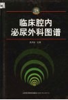 临床腔内泌尿外科图谱 封面
