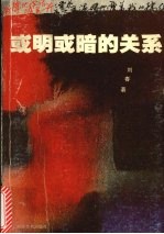 或明或暗的关系 封面
