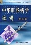 中华肛肠病学图谱  第二版 封面