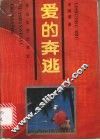 爱的奔逃 封面