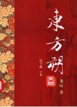东方朔  天怒 封面