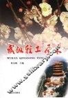 武汉轻工风采 封面