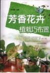 芳香花卉植栽巧布置 封面