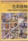 中国美术学院附中学生作品精选  色彩静物 封面