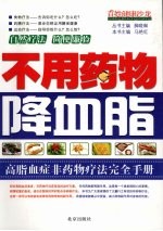 不用药物降血脂  高脂血症非药物疗法完全手册 封面