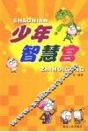 少年智慧宫 封面
