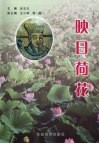 映日荷花  全国杨万里学术讨论会论文集 封面