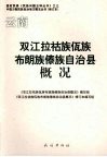 双江拉祜族佤族布朗族傣族自治县概况 封面