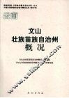 文山壮族苗族自治州概况 封面