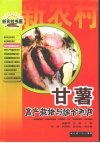 甘薯高产栽培与综合利用 封面
