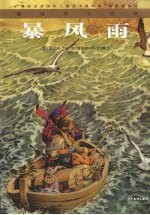 暴风雨 电子书封面
