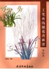 工笔画线描花卉画谱  水仙篇 封面