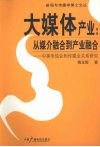 大媒体产业：从媒介融合到产业融合  中美电信业和传媒业关系研究 封面