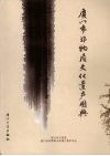 厦门市非物质文化遗产图典 封面