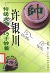特级大师许银川巧手妙着 封面